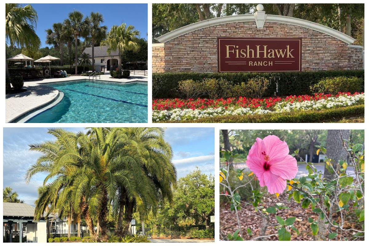 FishHawk Ranch in Lithia FL community collage showing resort-style pool, neighborhood entrance sign with flowers, palm trees, and tropical landscaping — highlighting family-friendly amenities and natural beauty.