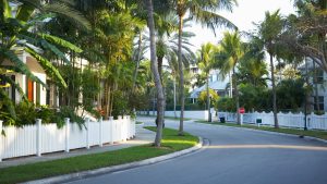 A sunny suburban street lined with palm trees and well-kept homes, representing one of the best neighborhoods in Tampa for families.